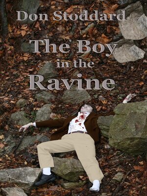cover image of The Boy in the Ravine